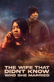 The Wife That Didn't Know Who She Married poster