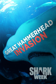 Great Hammerhead Invasion