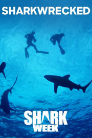 Sharkwrecked poster