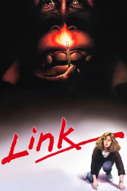 Link poster