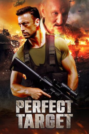 Perfect Target poster
