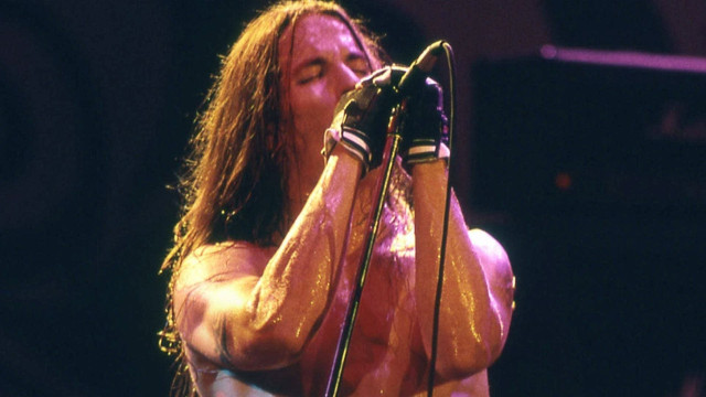 Watch Red Hot Chili Peppers: The Ultimate Review Online