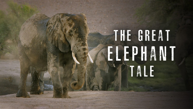 Watch The Great Elephant Tale Online