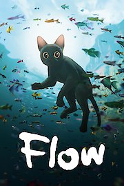 Flow