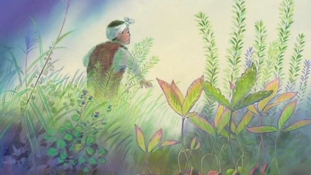 Watch The Night of Taneyamagahara Online