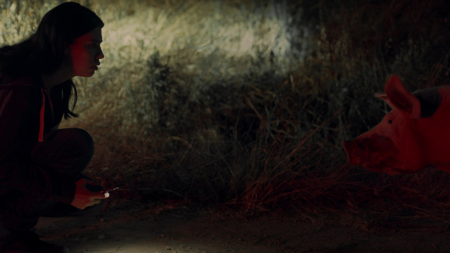 Watch You Are Not Me Online