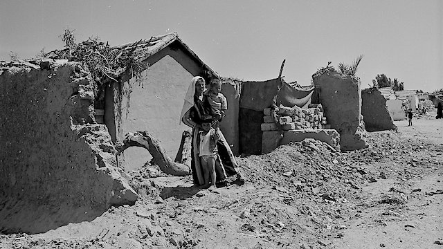 Watch Occupation 101 Online