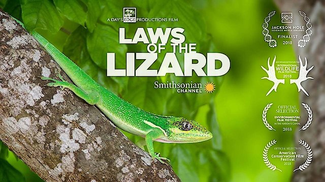 Watch Laws of the Lizard Online