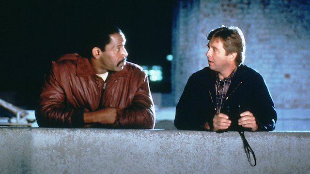 Watch The Wild Pair Online