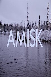 Amisk poster