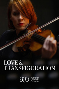Love & Transfiguration