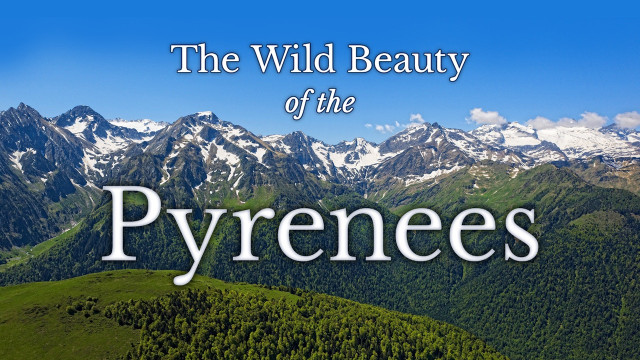 Watch The Wild Beauty of the Pyrenees Online