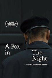 A Fox In The Night
