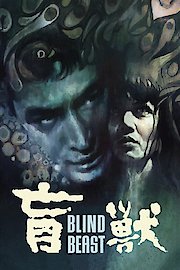 Blind Beast poster