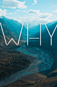 The Why