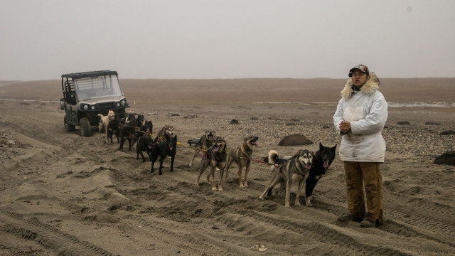 Watch The Ground Between Us Online