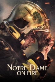Notre-Dame on Fire poster