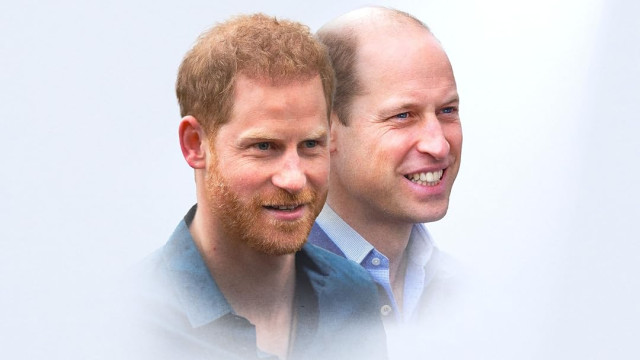 Watch William and Harry in the Public Eye Online