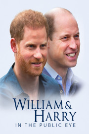 William and Harry in the Public Eye poster