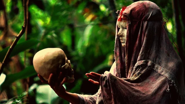 Watch The Dark Forest: The Evil Never Sleep! Online