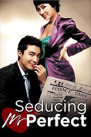 Seducing Mr. Perfect poster