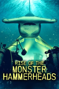 Rise of the Monster Hammerheads