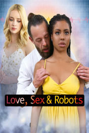 Love, Sex, & Robots poster