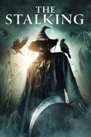 The Stalking poster
