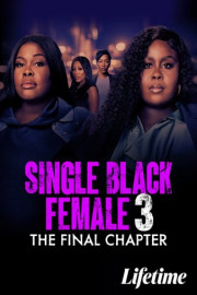 Single Black Female 3: The Final Chapter poster