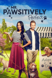 Mr. Pawsitively Perfect