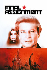 Final Assignment poster