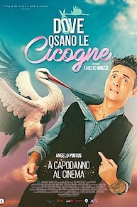 Dove osano le cicogne