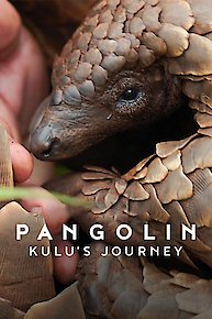 Pangolin: Kulu's Journey