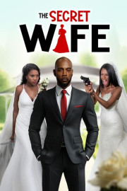 The Secret Wife poster