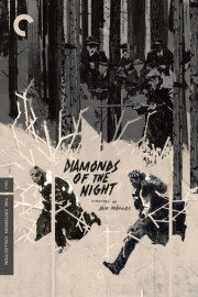 Diamonds of the Night poster