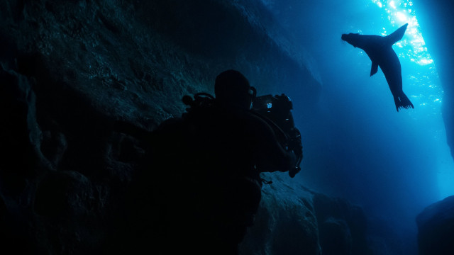 Watch Guardians of the Galapagos Online