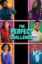 The Perfect Challenge poster