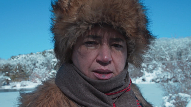 Watch The Karamazovs Online