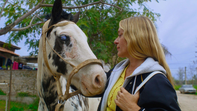 Watch Magic Farm Online