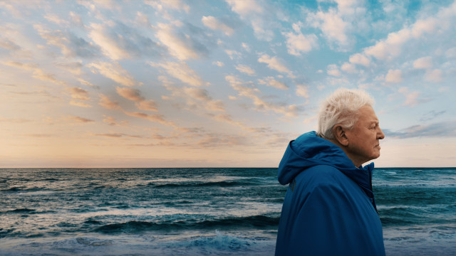 Watch Ocean with David Attenborough Online