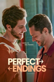 Perfect Endings poster