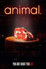animal. poster