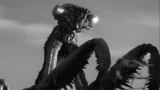 Watch The Deadly Mantis Online