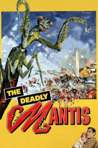 The Deadly Mantis