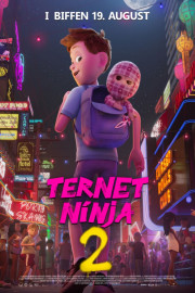 Checkered Ninja 2