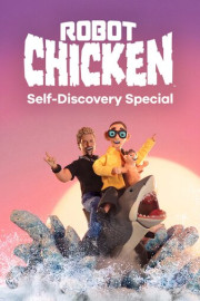 Robot Chicken: Self-Discovery Special poster