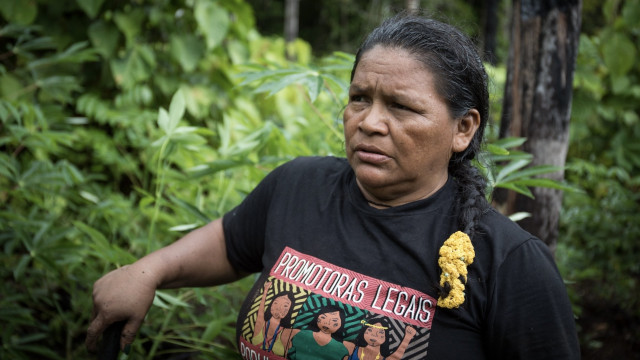 Watch Guardians of the Rainforest Online