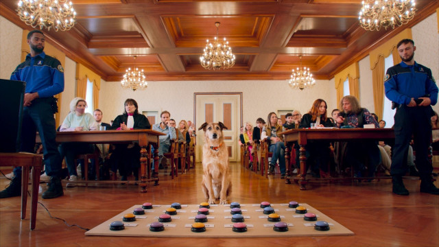 Watch Dog on Trial Online
