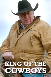 King Of The Cowboys poster