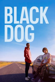 Black Dog